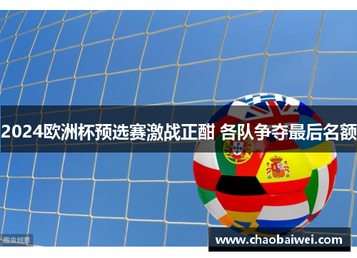 2024欧洲杯预选赛激战正酣 各队争夺最后名额
